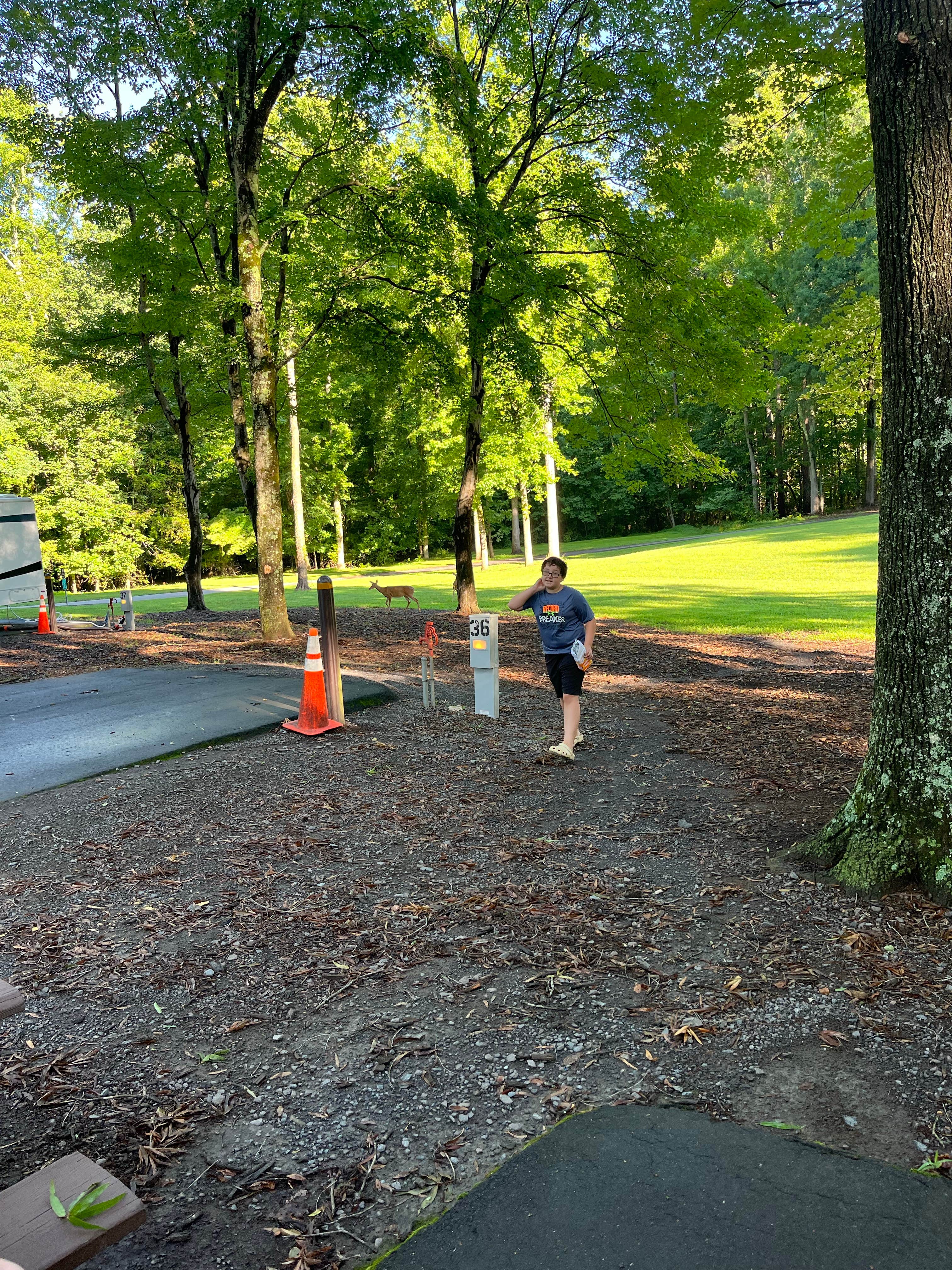 Camper-submitted photo at Tanglewood Park near Cana, VA
