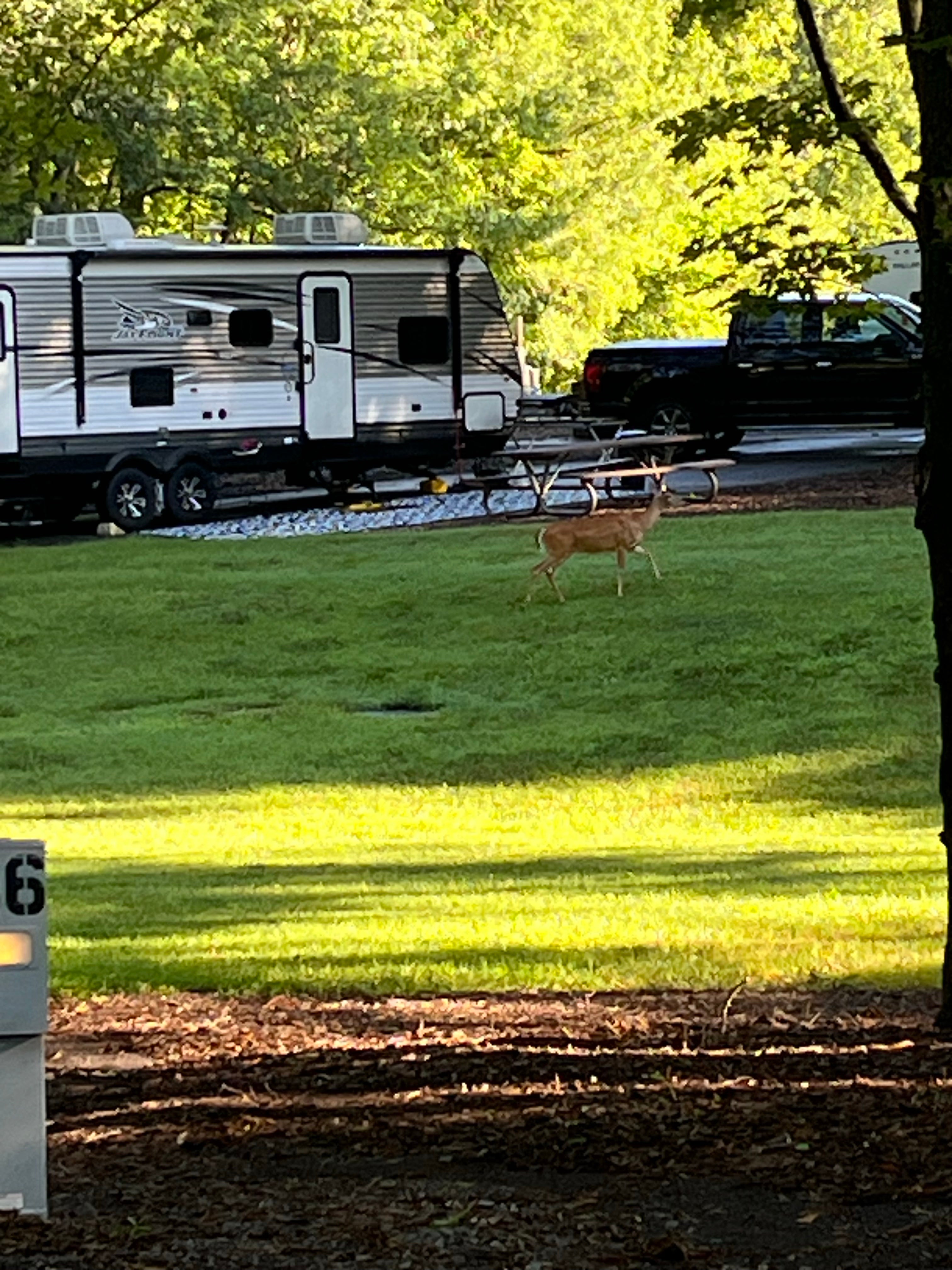 Camper submitted image from Tanglewood Park - 1