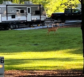 Camper-submitted photo from Tanglewood Park