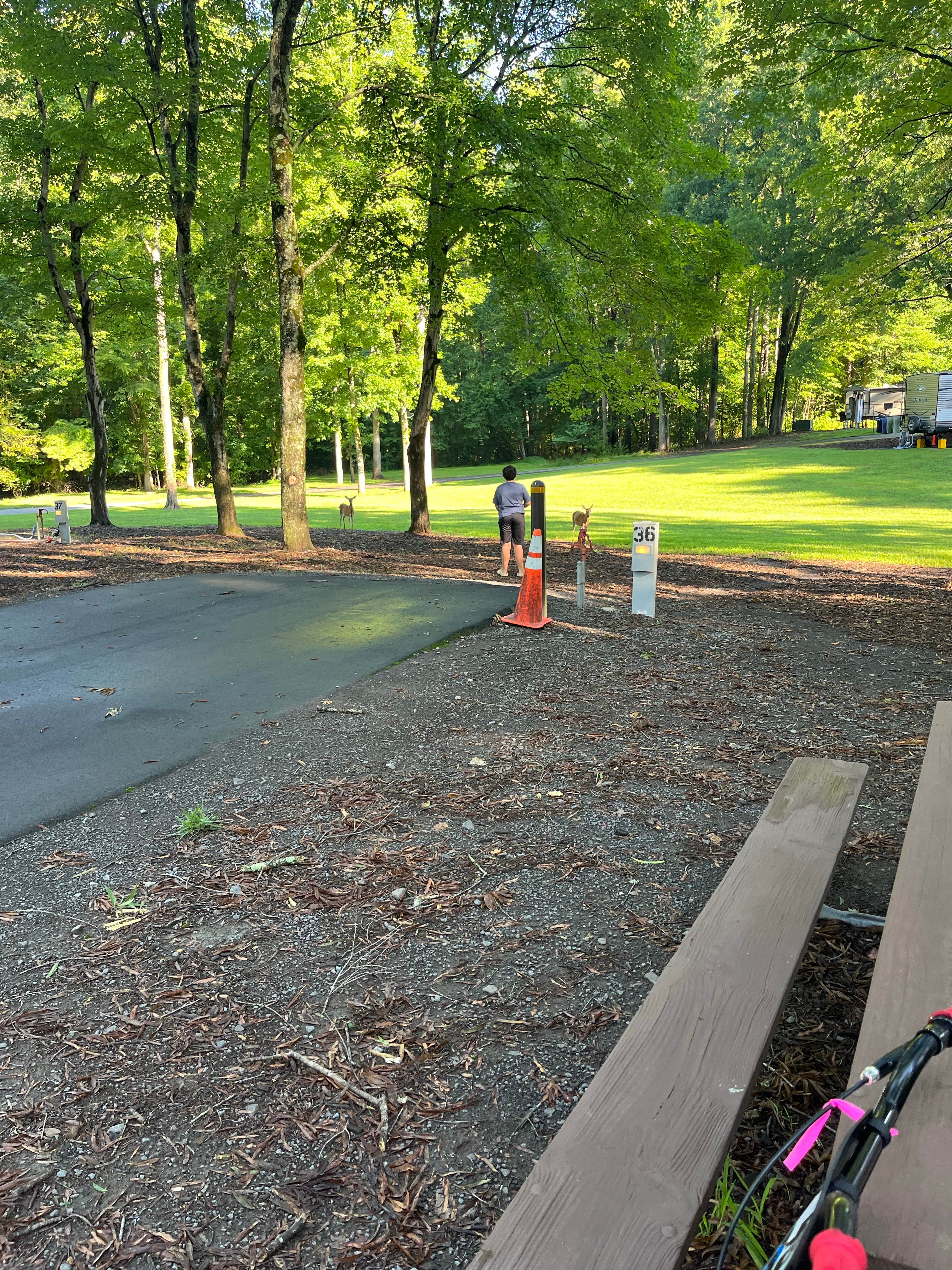 Camper-submitted photo at Tanglewood Park near Cana, VA