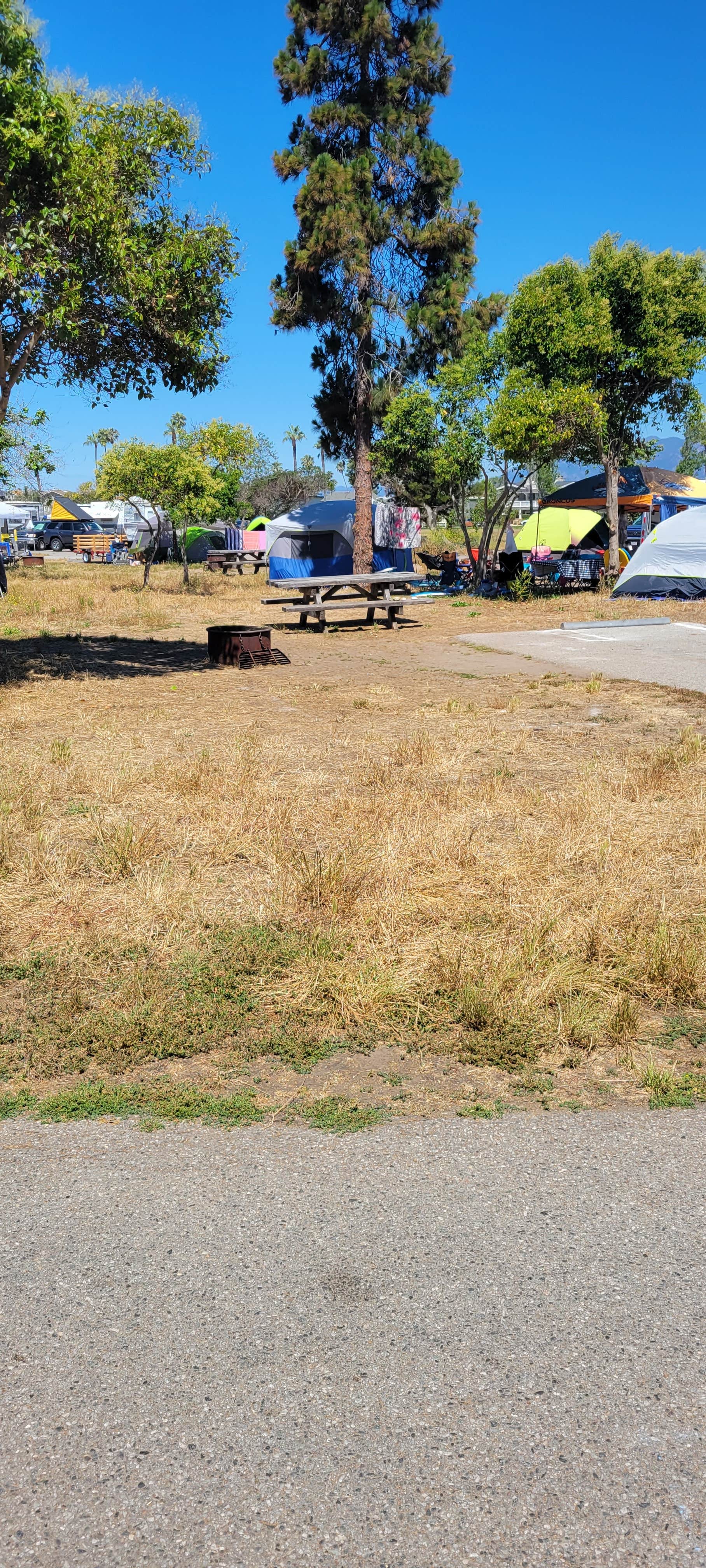 Camper-submitted photo at Anacapa Campground — Carpinteria State Beach near Summerland, CA