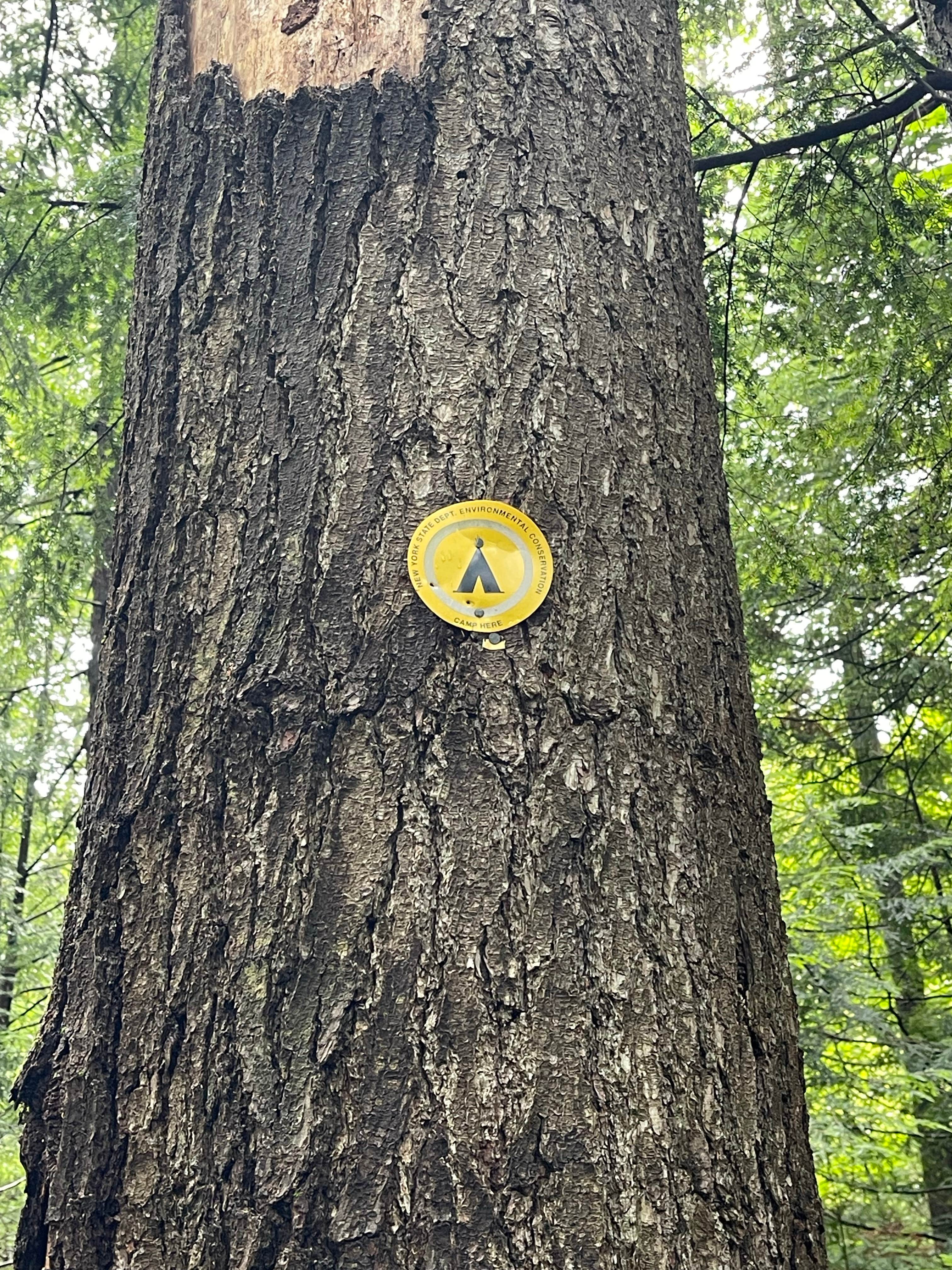 Camper-submitted photo at Cod Pond Dispersed Pull-Off near Queensbury, NY