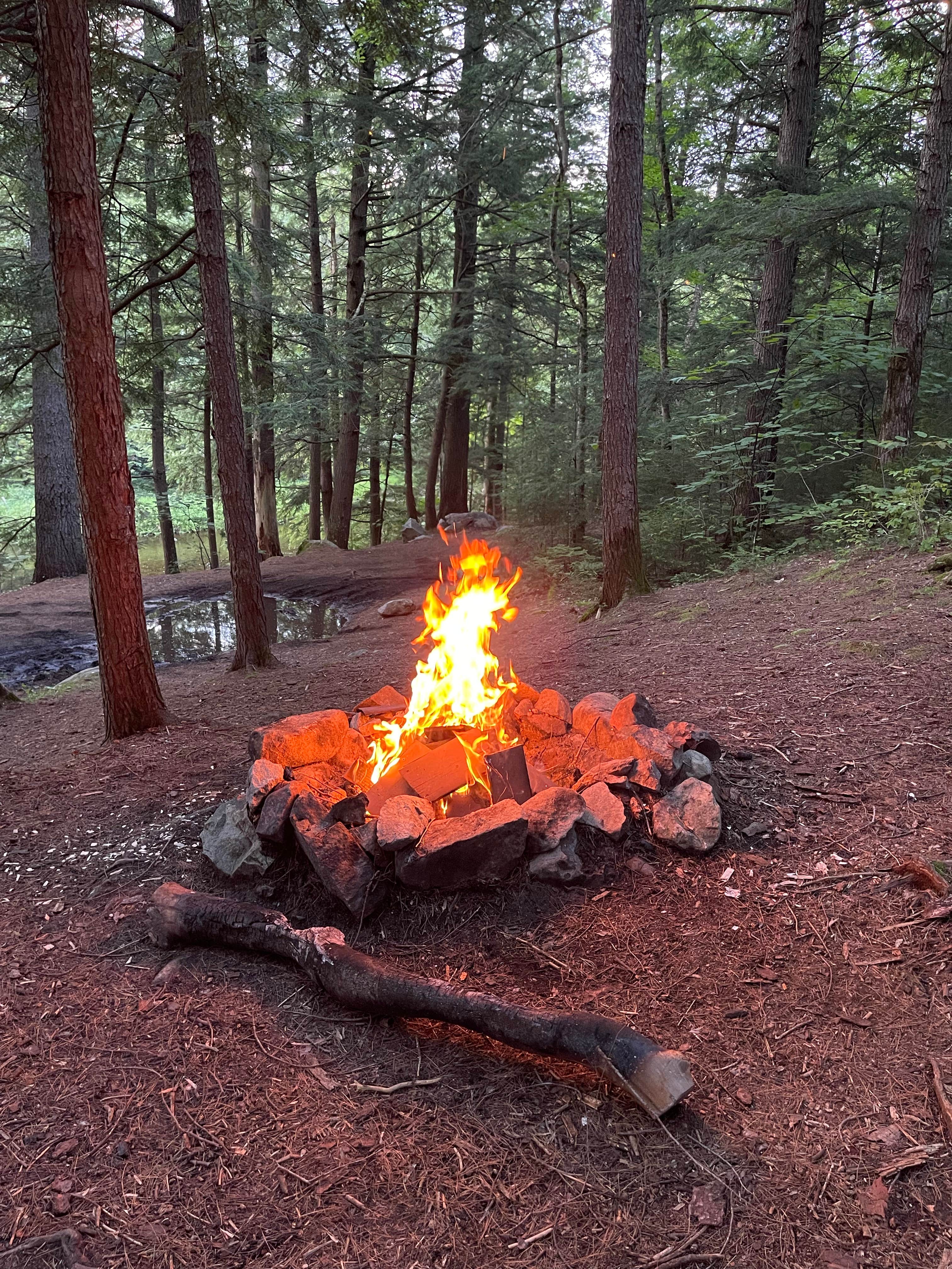 Camper-submitted photo at Cod Pond Dispersed Pull-Off near Queensbury, NY