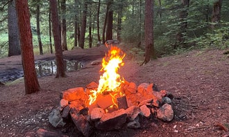 Camping near Crane Mountain Pond Campsite: Cod Pond Dispersed Pull-Off, Bakers Mills, New York