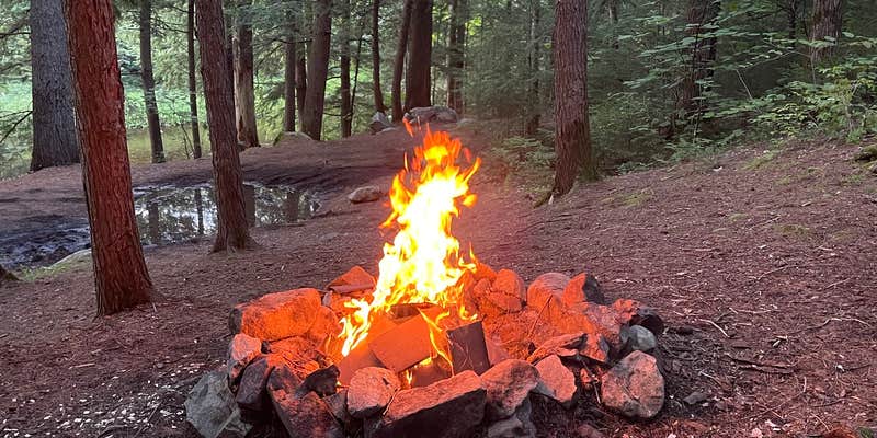 Camper submitted image from Cod Pond Dispersed Pull-Off