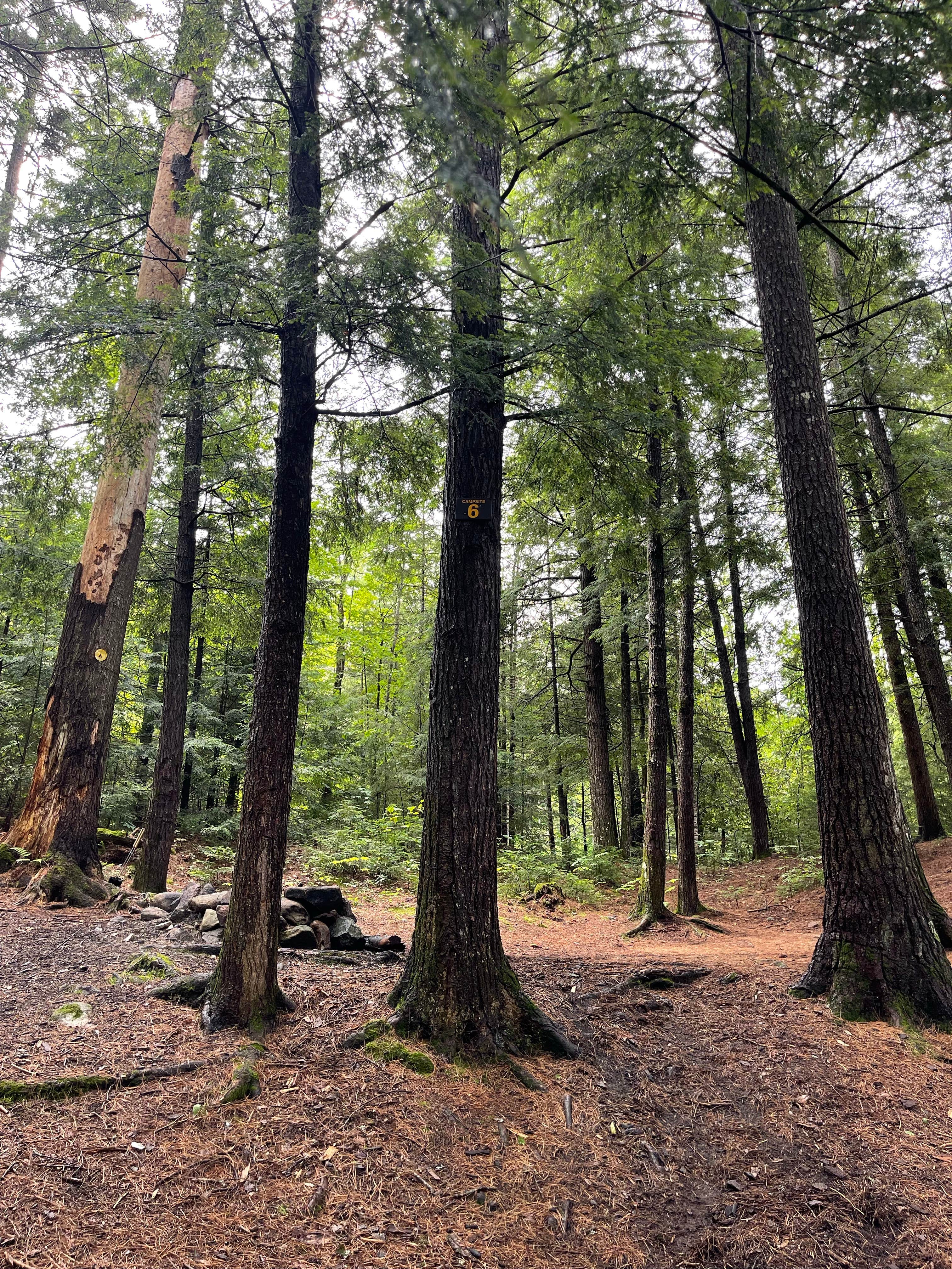Camper-submitted photo at Cod Pond Dispersed Pull-Off near Queensbury, NY