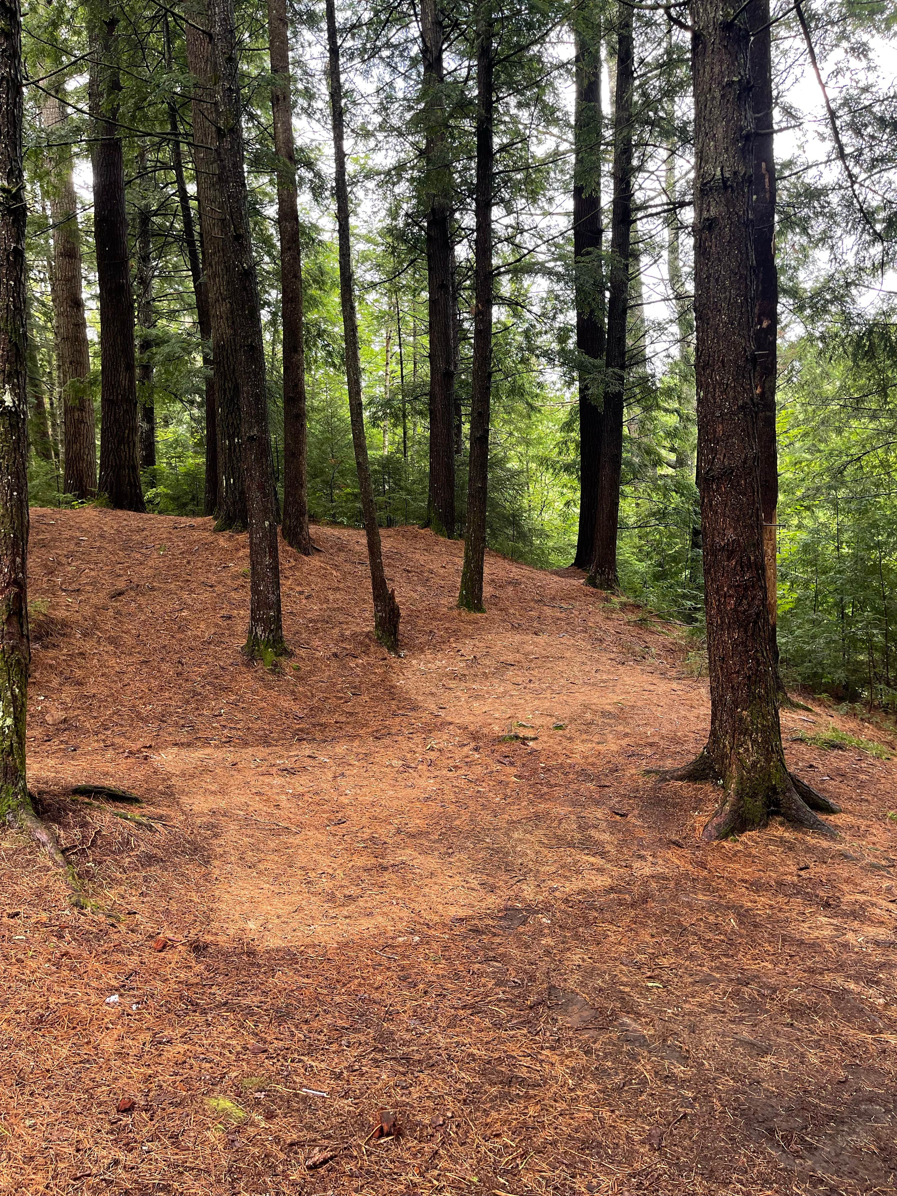 Camper-submitted photo at Cod Pond Dispersed Pull-Off near Queensbury, NY