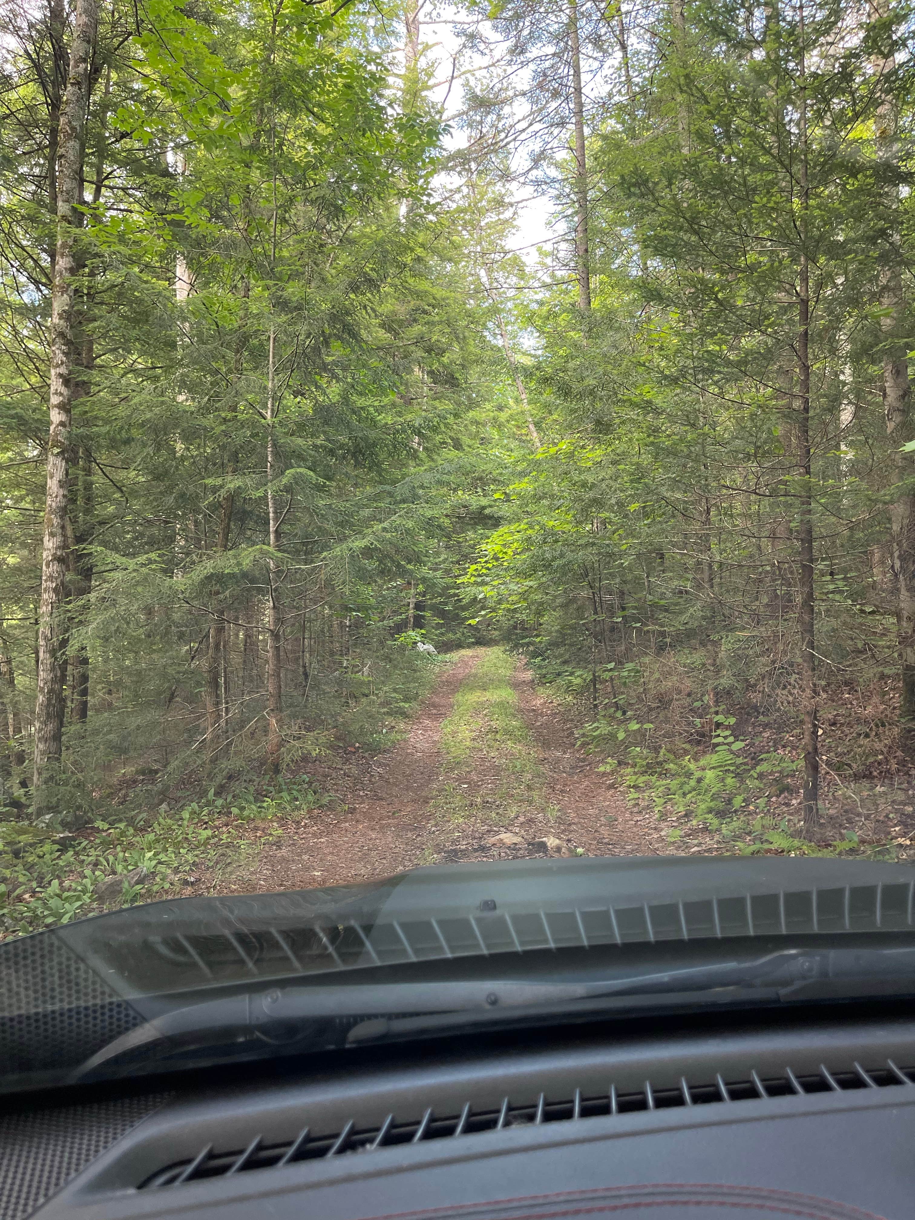 Camper-submitted photo at Cod Pond Dispersed Pull-Off near Queensbury, NY