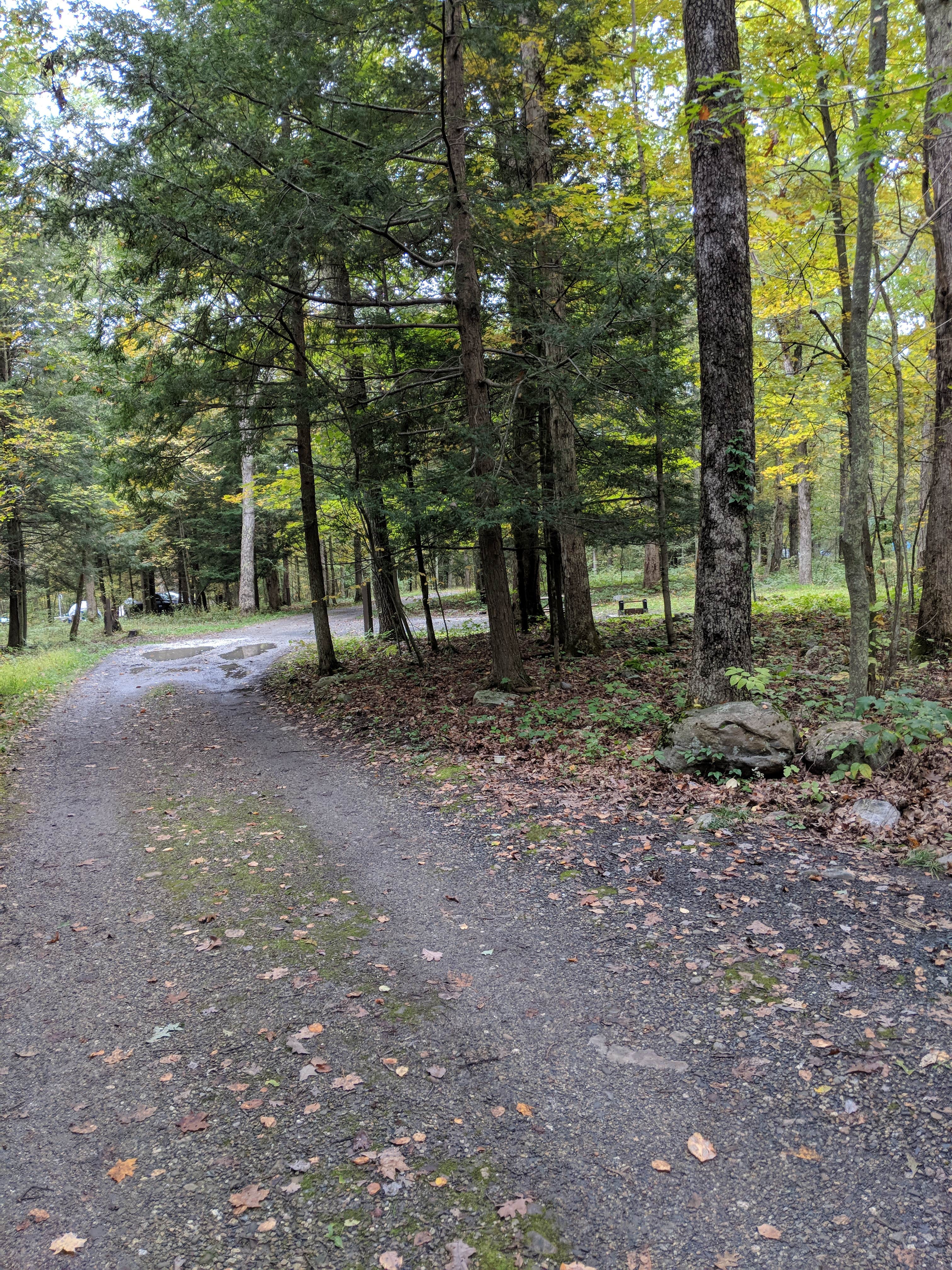 Camper submitted image from Stokes State Forest - 4