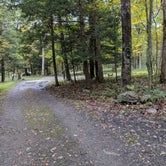 Review photo of Stokes State Forest by Trip Over Life , October 23, 2018