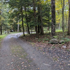 The campground road.