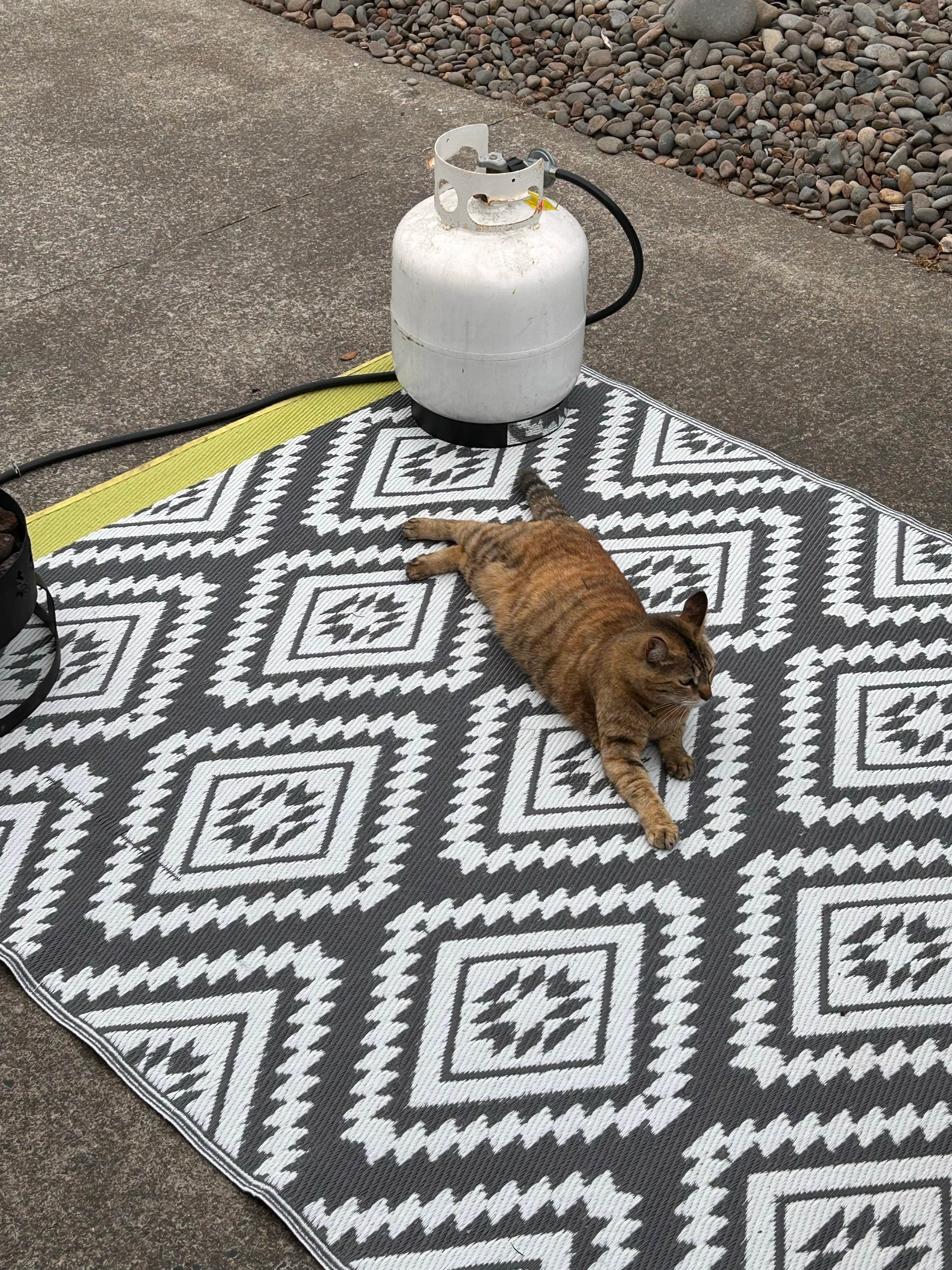 Camper-submitted photo at Sea Perch RV Resort near Seal Rock, OR