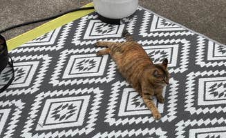 Mari H.'s photo of camping with pets at Sea Perch RV Resort near Yachats, OR