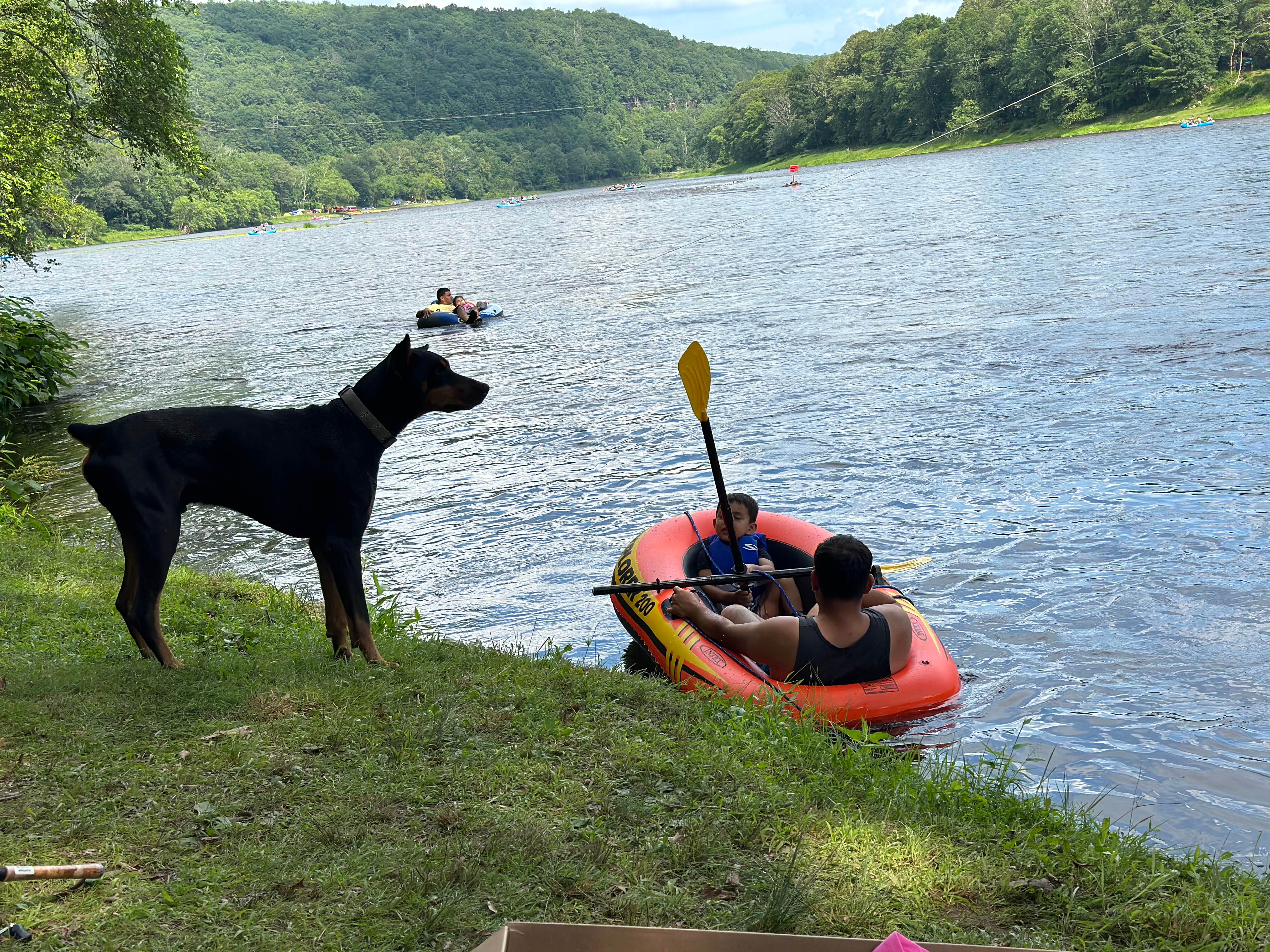 Mayra O.'s photo of camping with pets at Slumberland at the River's Edge near Dingmans Ferry, PA