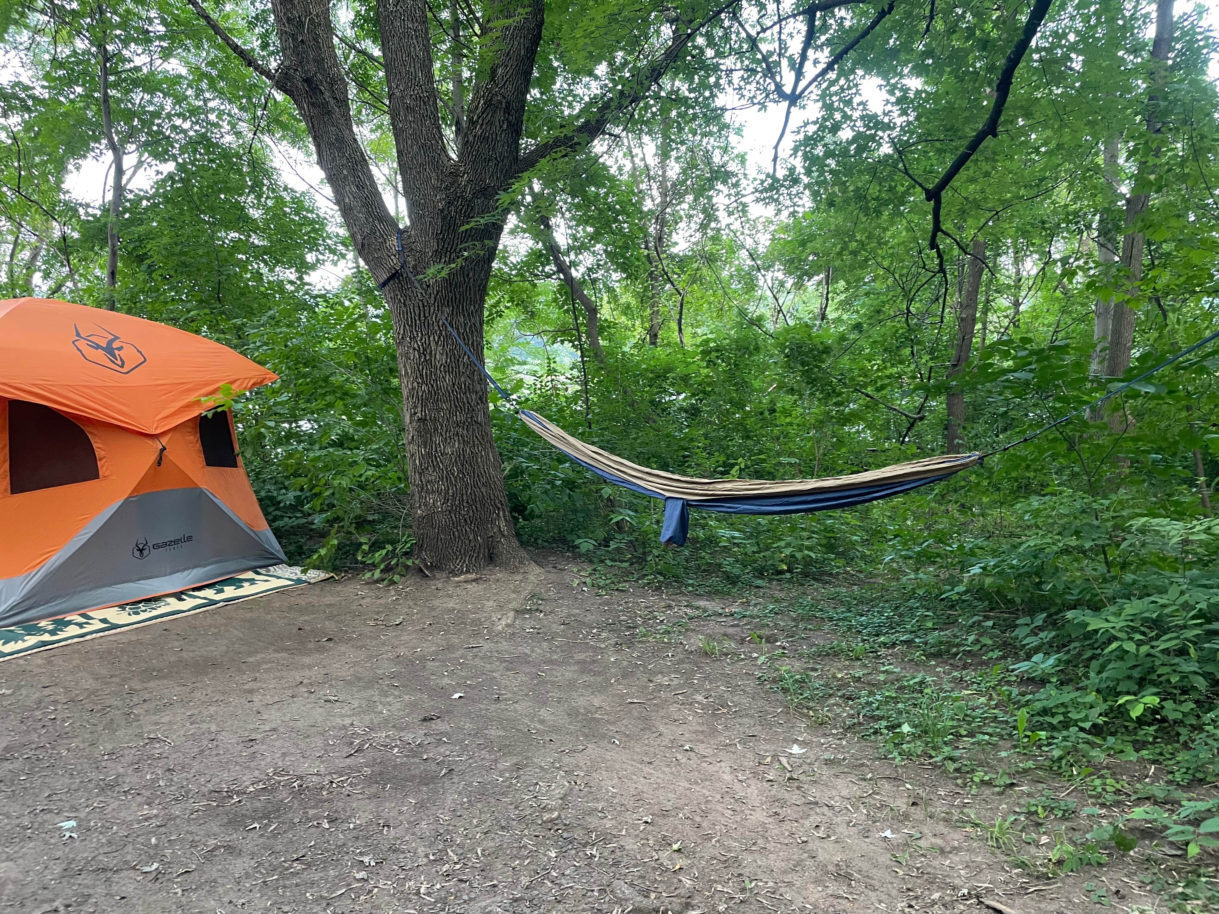 TyAnn J.'s photo at Interstate State Park Campground near Harris, MN