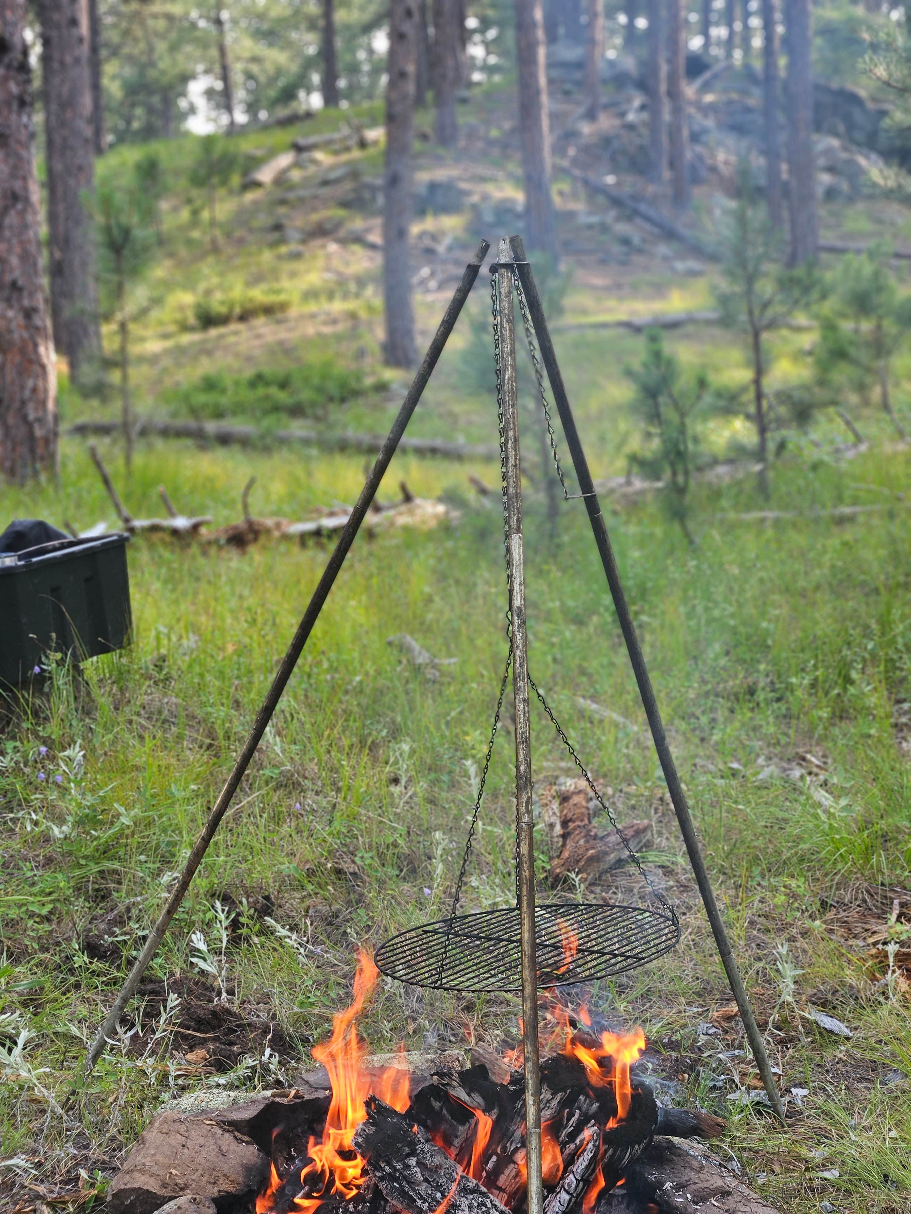 Camper-submitted photo at RD 356 Dispersed Site Black Hills National Forest near Silver City, SD