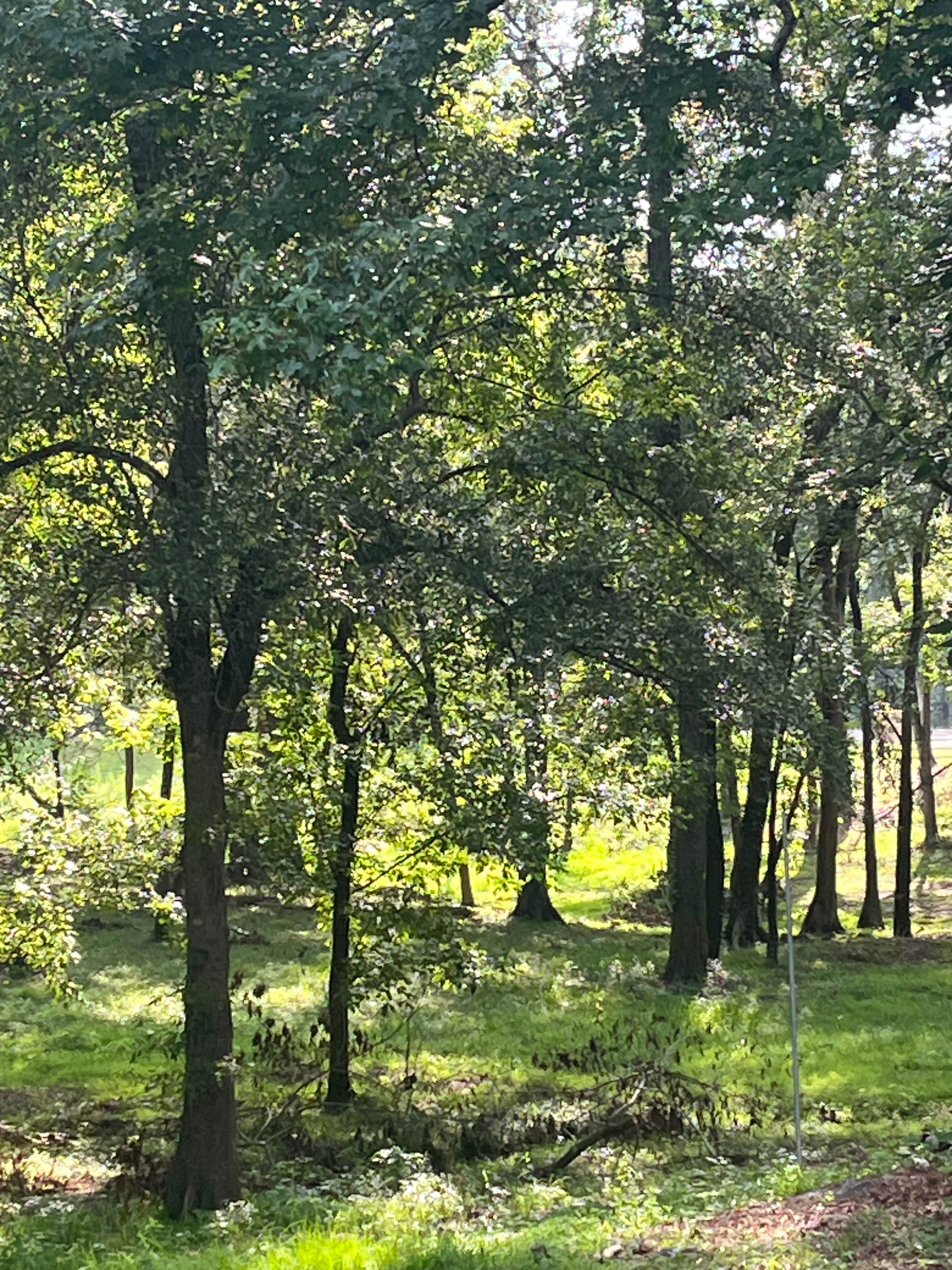 Camper-submitted photo at DLo Water Park near Bienville National Forest