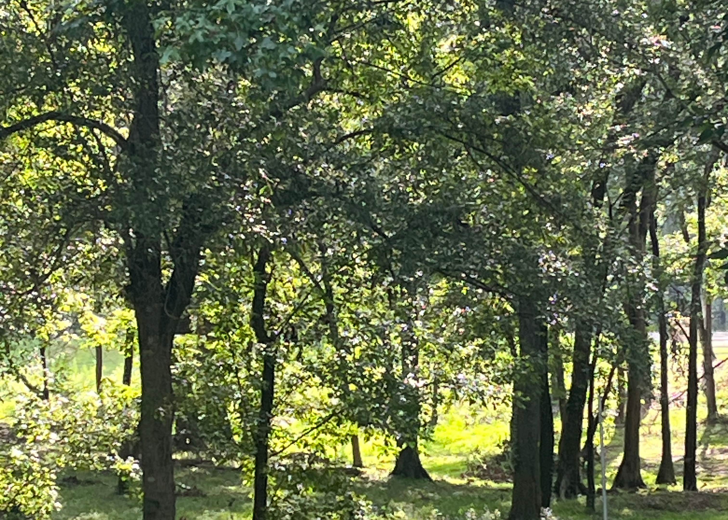 DLo Water Park Camping Mendenhall, MS The Dyrt