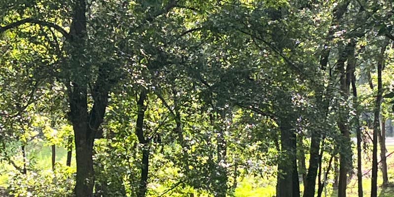 Camper submitted image from DLo Water Park