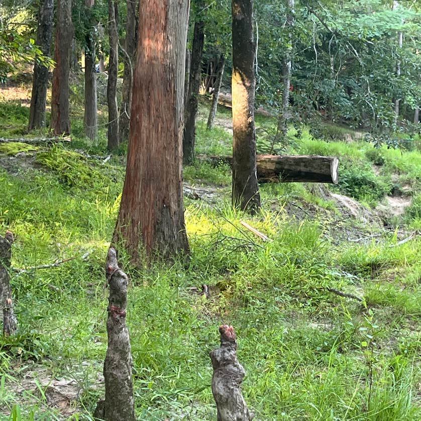 DLo Water Park Camping Mendenhall, MS