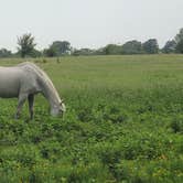 Review photo of Sleep Under The Pecan Trees by Mike J., July 17, 2023