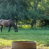 Review photo of Sleep Under The Pecan Trees by Mike J., July 17, 2023