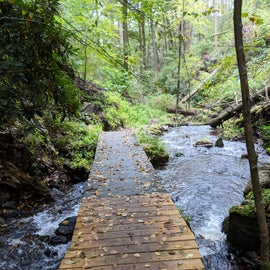 Hiking Tillman Ravine trail. The wood bridges are VERY slippery when wet.