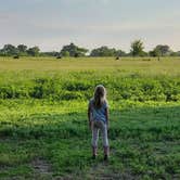 Review photo of Sleep Under The Pecan Trees by Mike J., July 17, 2023