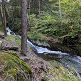 Review photo of Stokes State Forest by Trip Over Life , October 23, 2018
