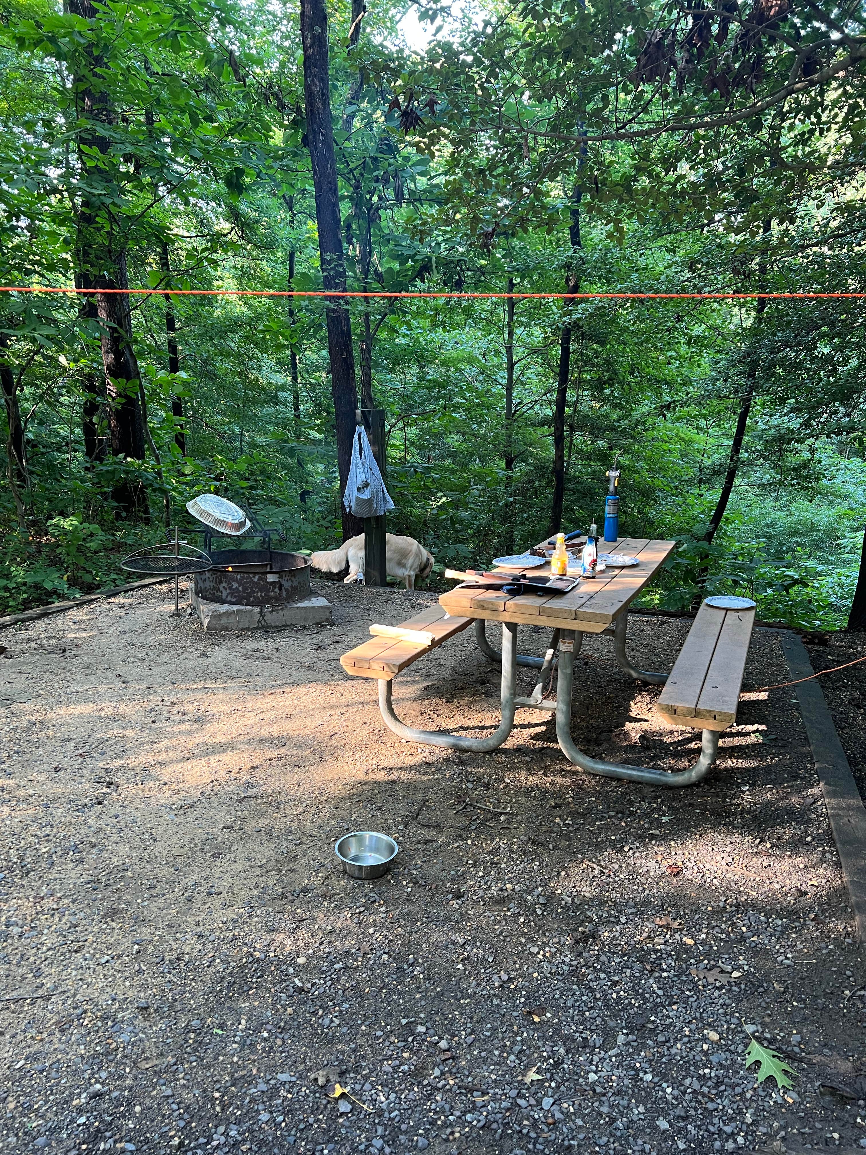 Oleńka S.'s photo at Westmoreland State Park Campground near Rappahannock Academy, VA