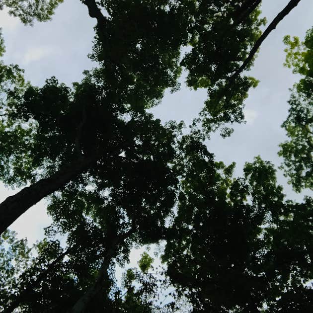 Delta Lake State Park Campground | Rome, NY