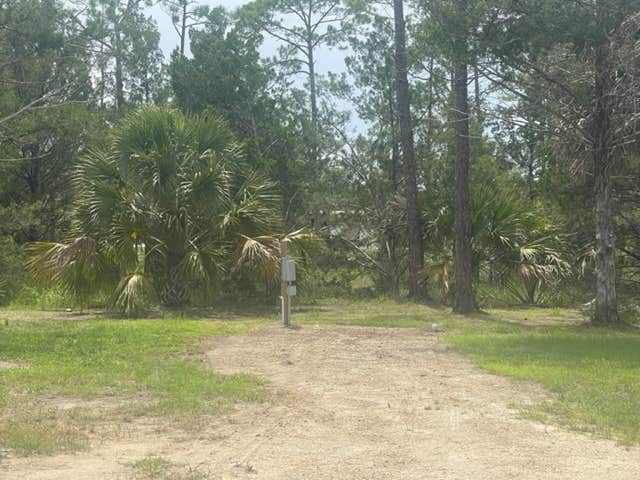 Camping near The Gallop Kamp: MAC Campground, Steinhatchee, Florida