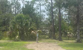 Camping near Southern Comfort Campground: MAC Campground, Steinhatchee, Florida