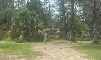 Camping near Now What Gulf Site: MAC Campground, Steinhatchee, Florida