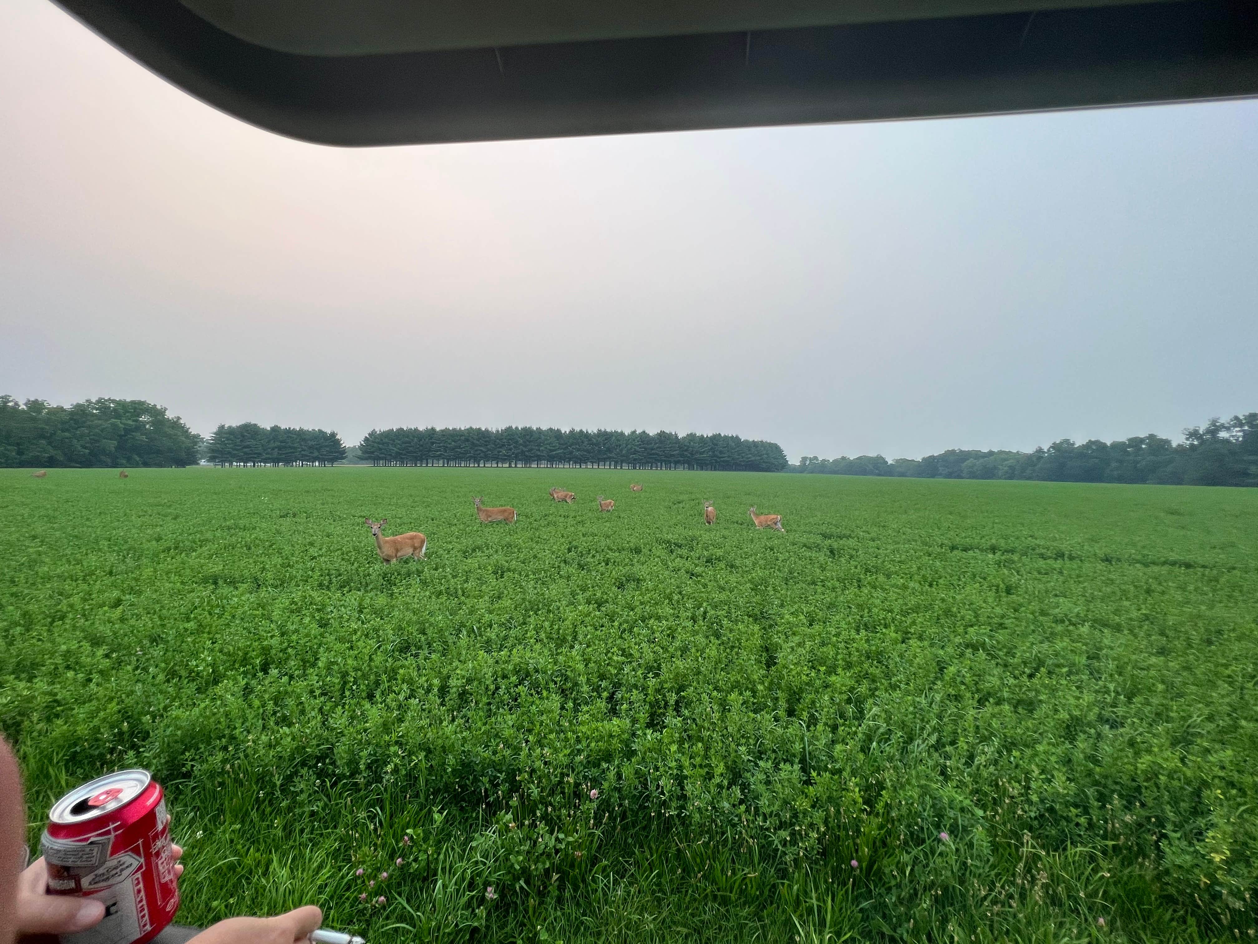 Camping near Spring Lake Park: Spring Lake Park - Macomb, Macomb, Illinois