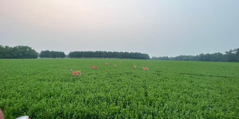 Camper submitted image from Spring Lake Park - Macomb