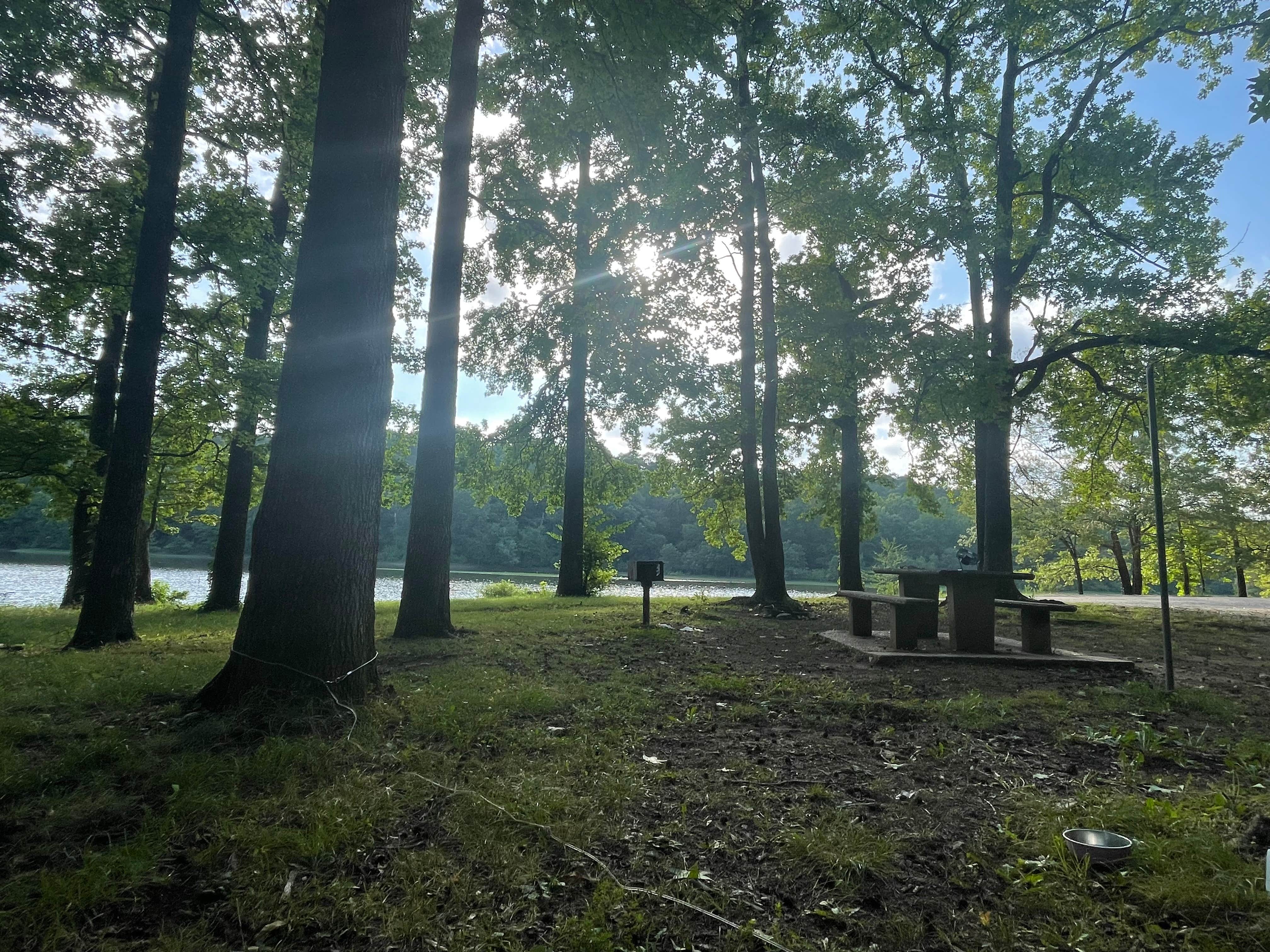 Camper-submitted photo at Irons Fork near Royal, AR