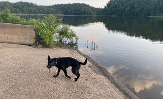 Matthew J.'s photo of camping with pets at Irons Fork near Ouachita Lake