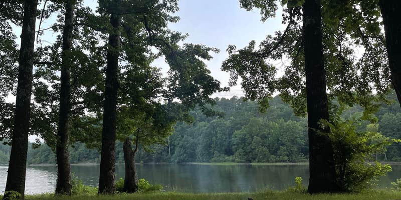 Camper submitted image from Irons Fork