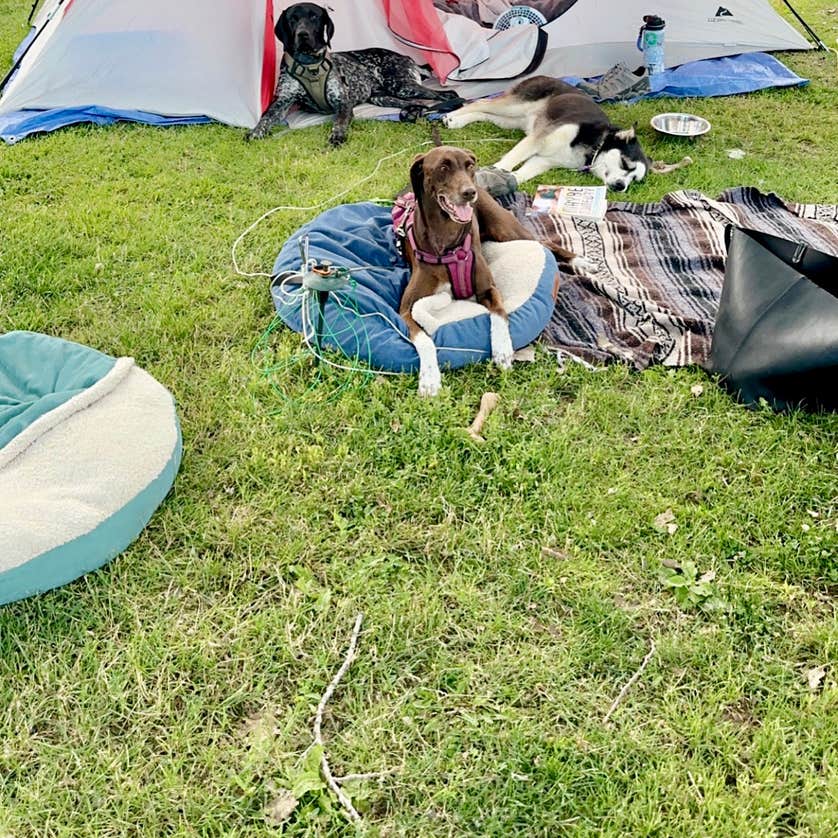 Mud Lake County Park Camping Dubuque, IA