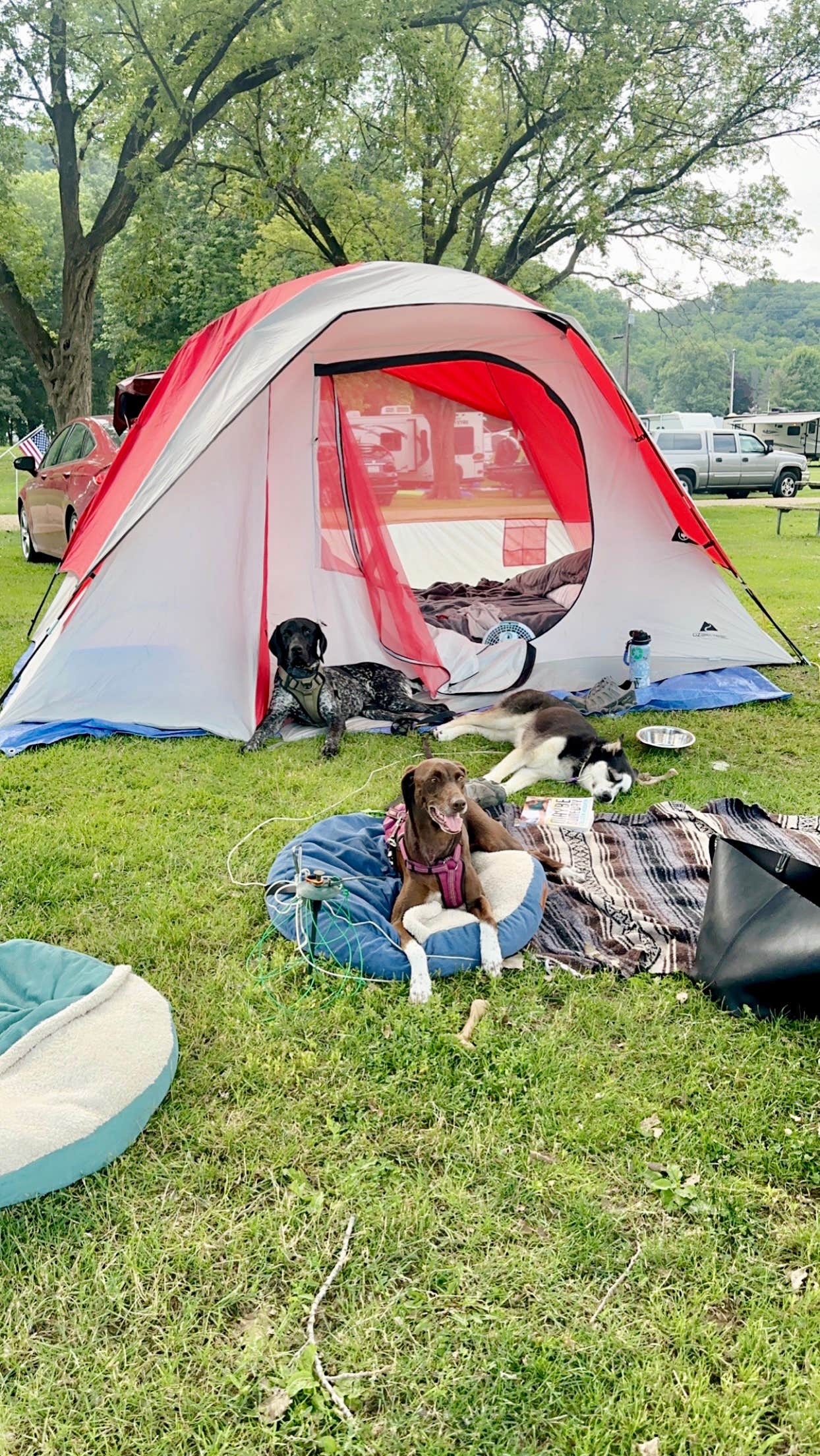 Camper submitted image from Mud Lake County Park - 5