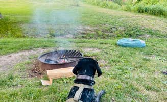 Lindsey M.'s photo of camping with pets at New Wine Park Dubuque County Park near Prairie du Chien, WI