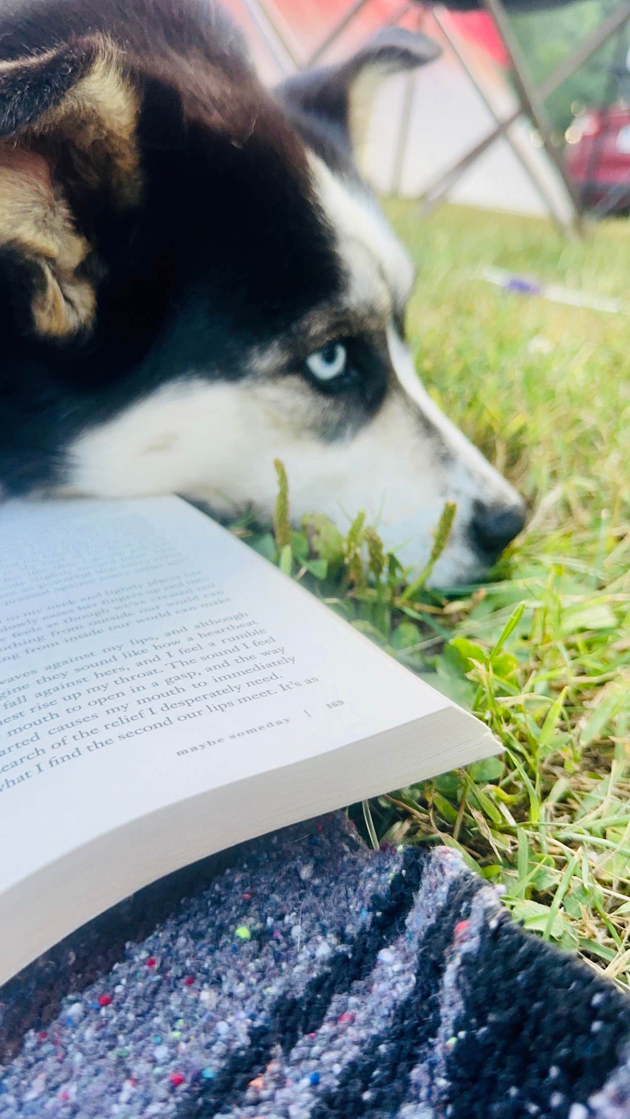 New Wine Park Dubuque County Park Camping New Vienna, IA