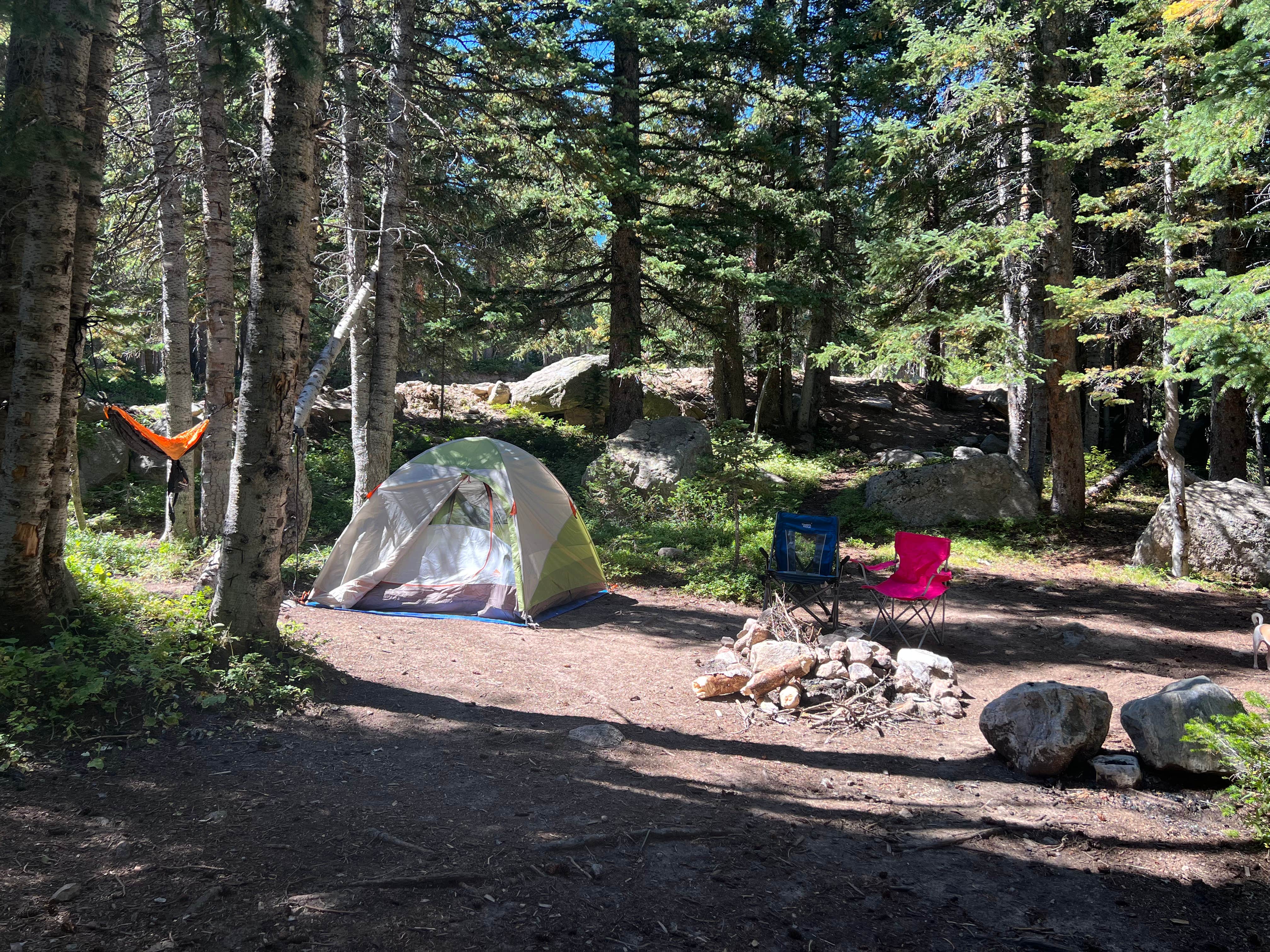Jinho T.'s photo of a dispersed camping area at Fall River Reservoir Dispersed Camping Trail near Black Hawk, CO