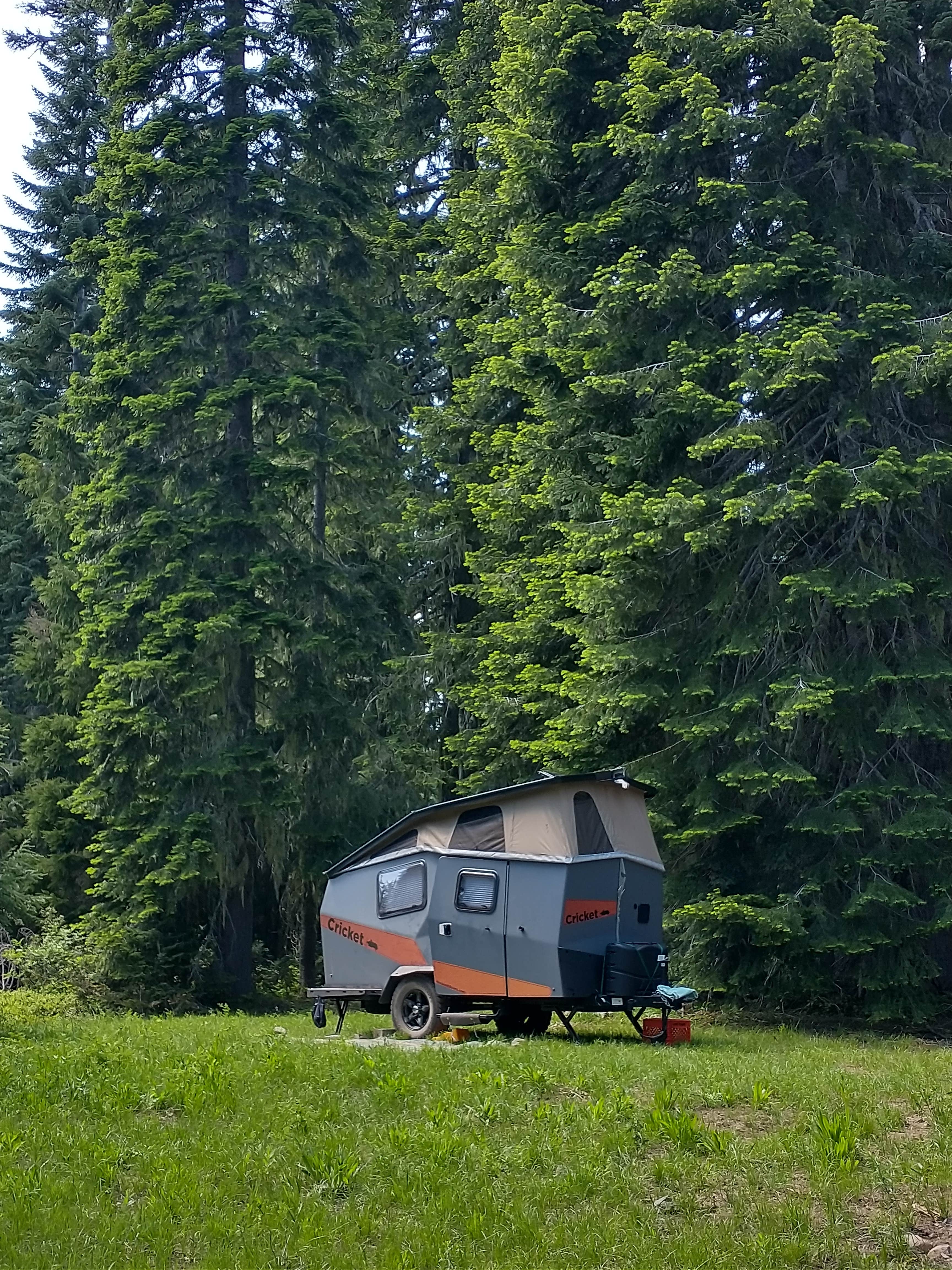 Pat H.'s photo at Huckleberry Mountain Campground near Prospect, OR