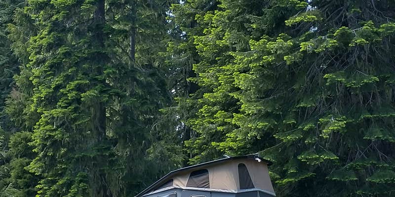 Camper submitted image from Huckleberry Mountain Campground