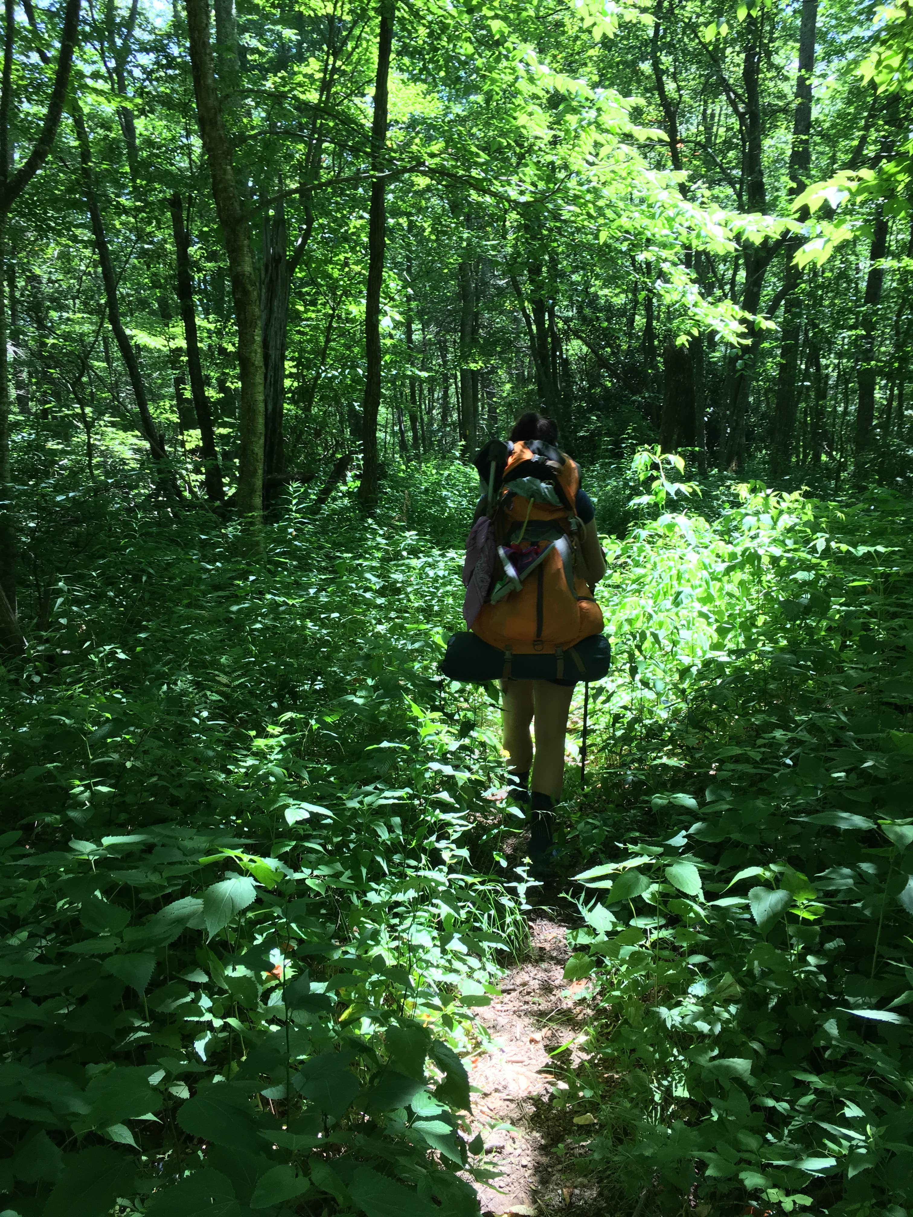 Camper-submitted photo at Walnut Cove Campground near Nantahala National Forest