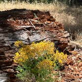 Review photo of Bailey Canyon Campground by Karen O., July 18, 2023