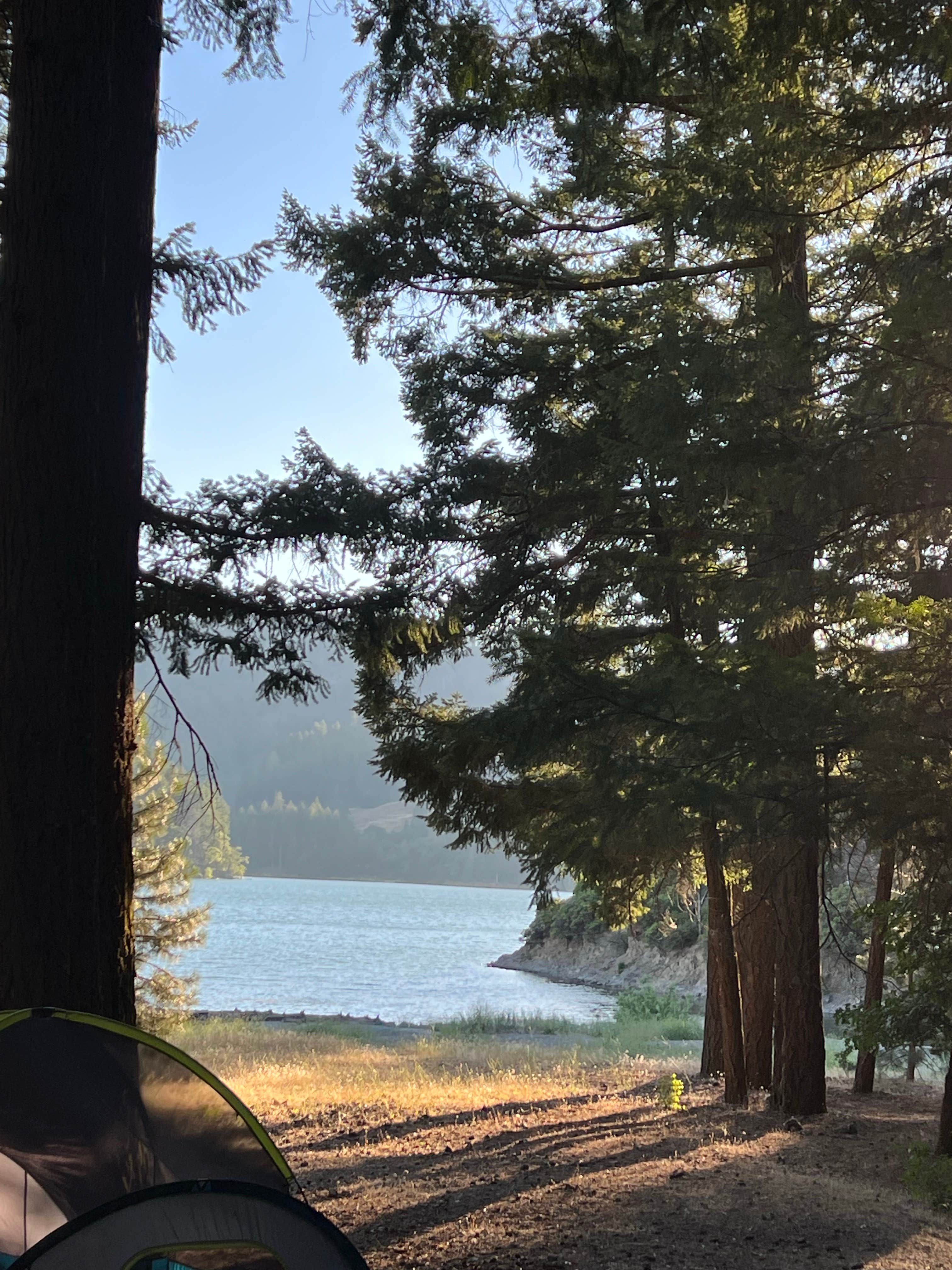 Camper-submitted photo at Bailey Canyon Campground near Weott, CA