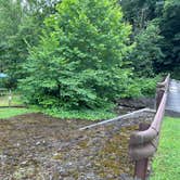 Review photo of Yough Lake Campground at Tub Run by John C., July 18, 2023